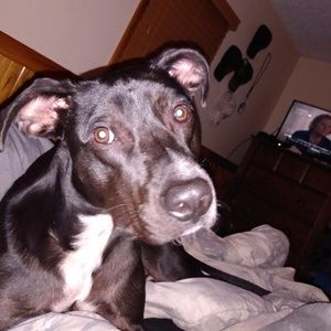 Meet your Posher, Denise